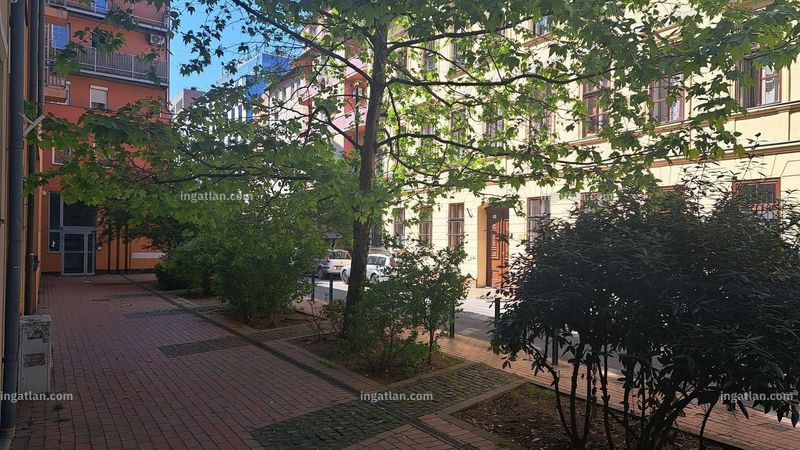 neighborhood