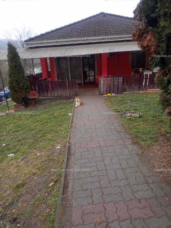 Ingatlan kép