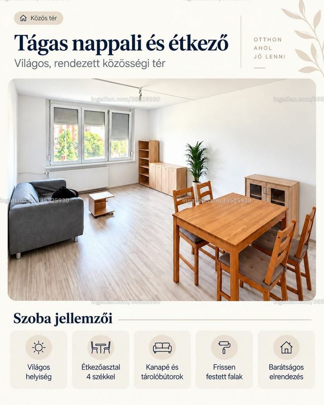 Ingatlan kép