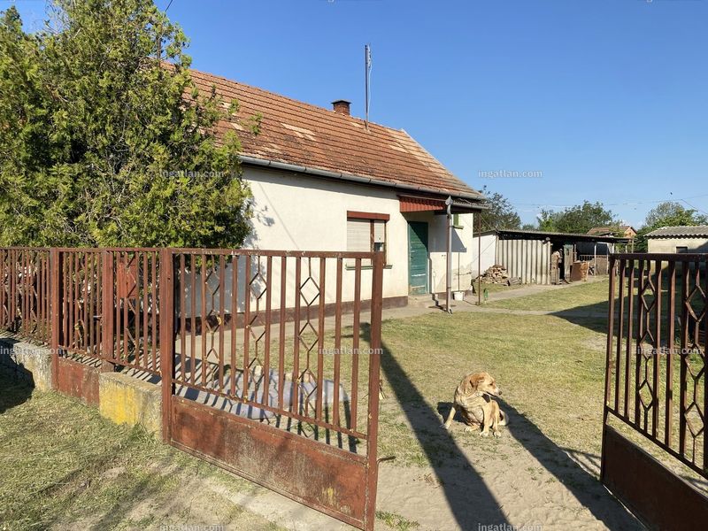 Hirdetés fotója