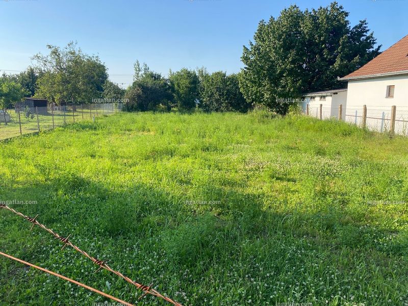 Foto auflisten