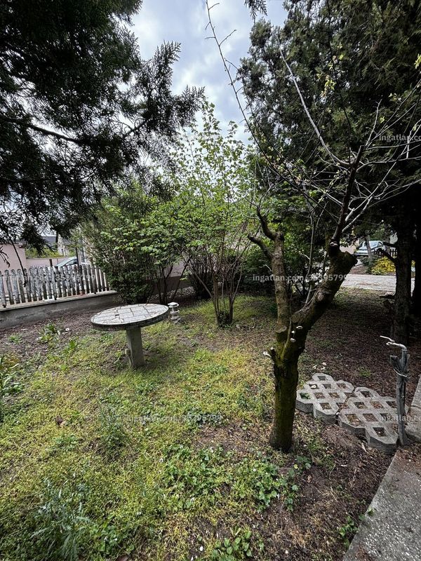 Bild über die Immobilie