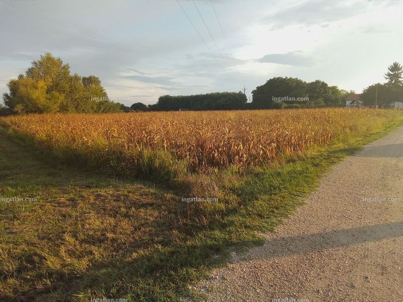 Foto auflisten