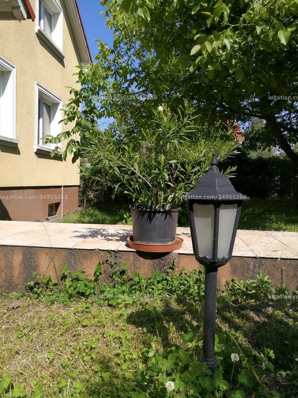 Foto auflisten