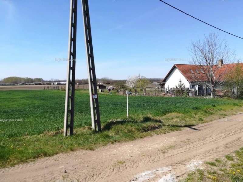 Foto auflisten