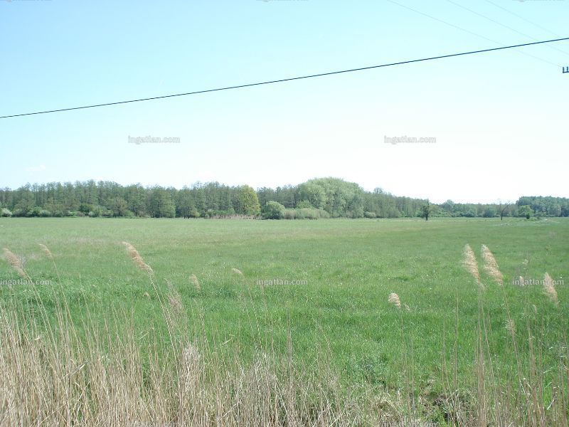 Foto auflisten