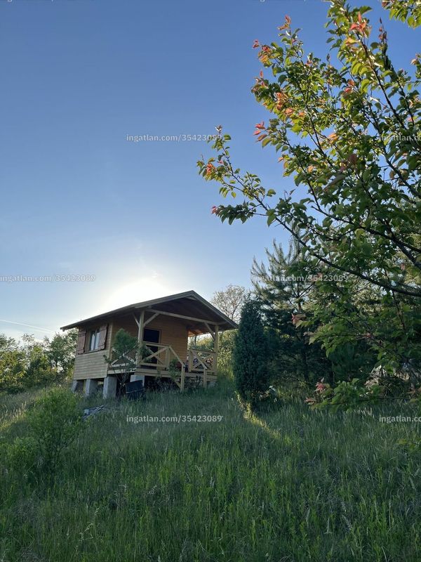 Hirdetés fotója