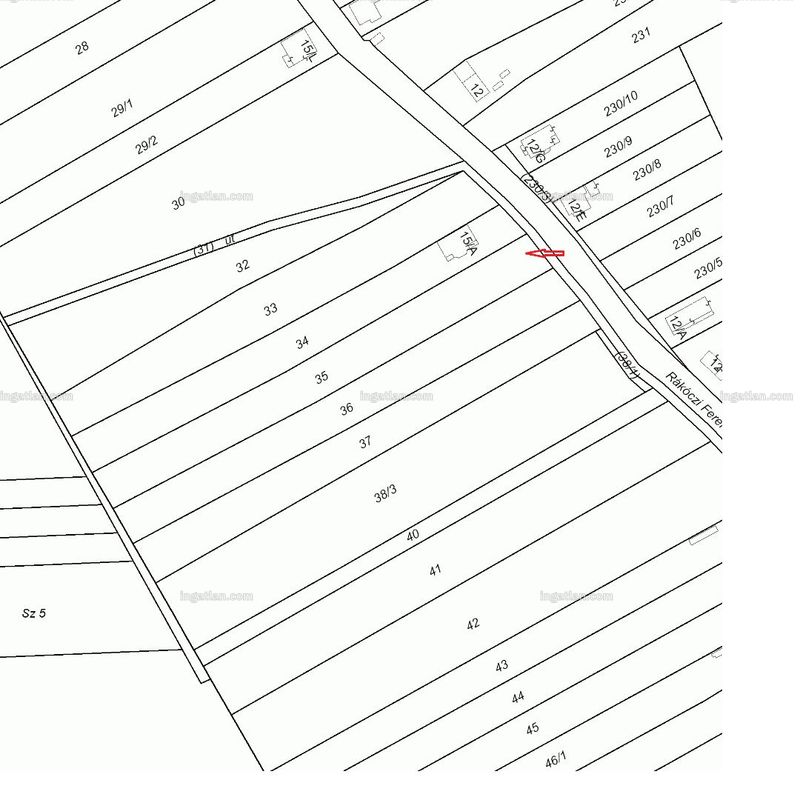 Picture of the real estate