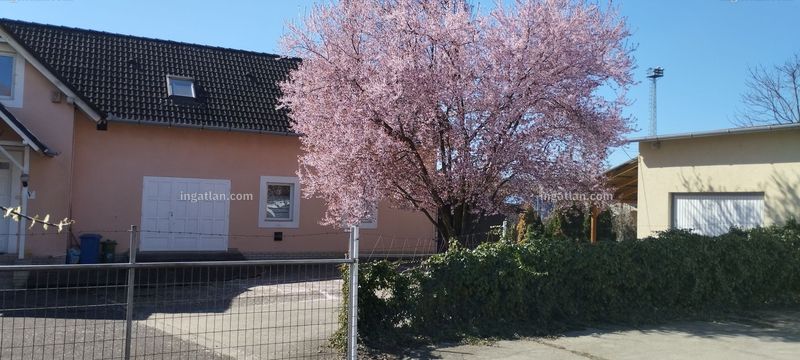 outside of the building