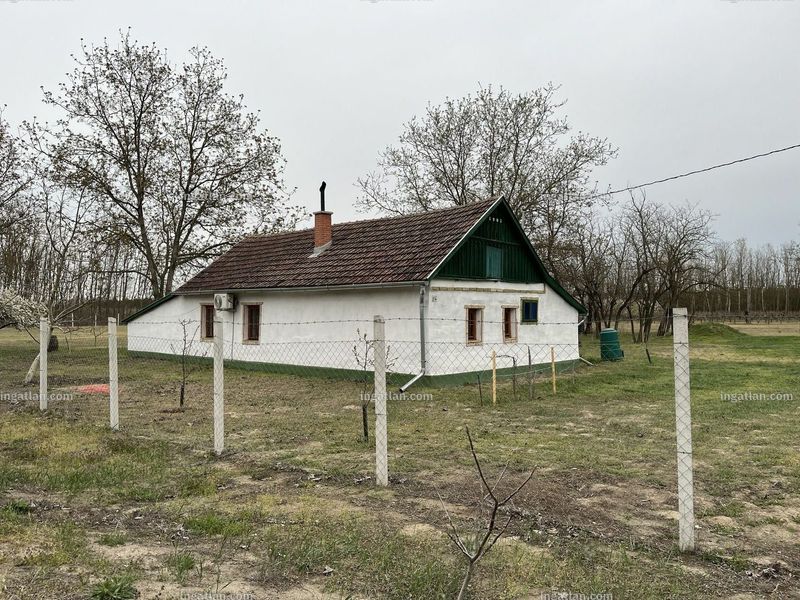 Foto auflisten