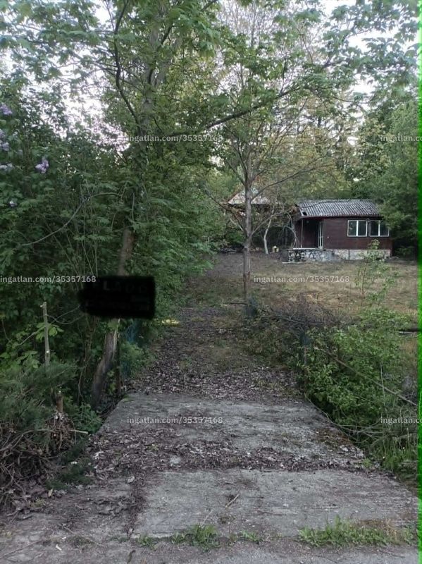 Foto auflisten