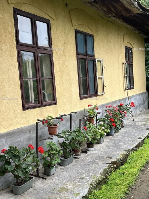 Foto auflisten