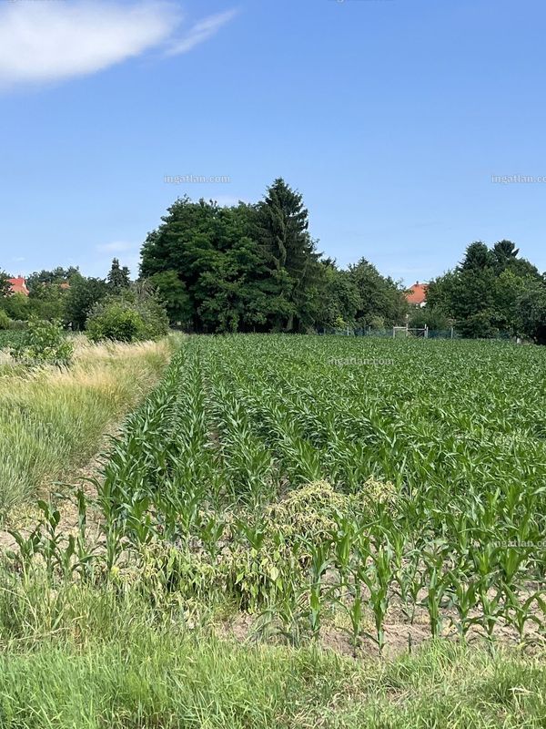 Foto auflisten