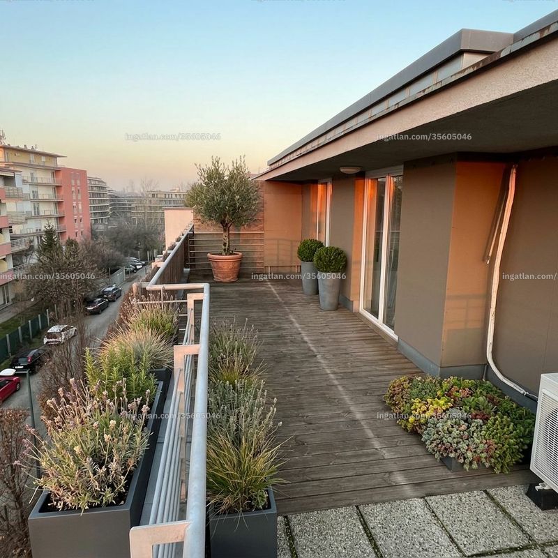 terrace
