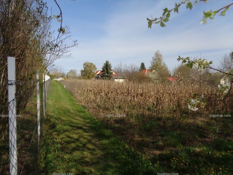 Foto auflisten