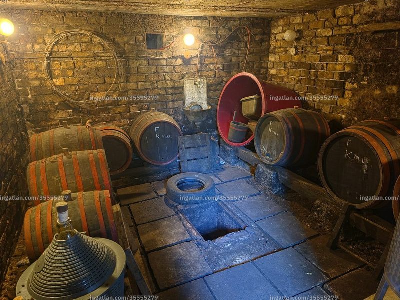 cellar
