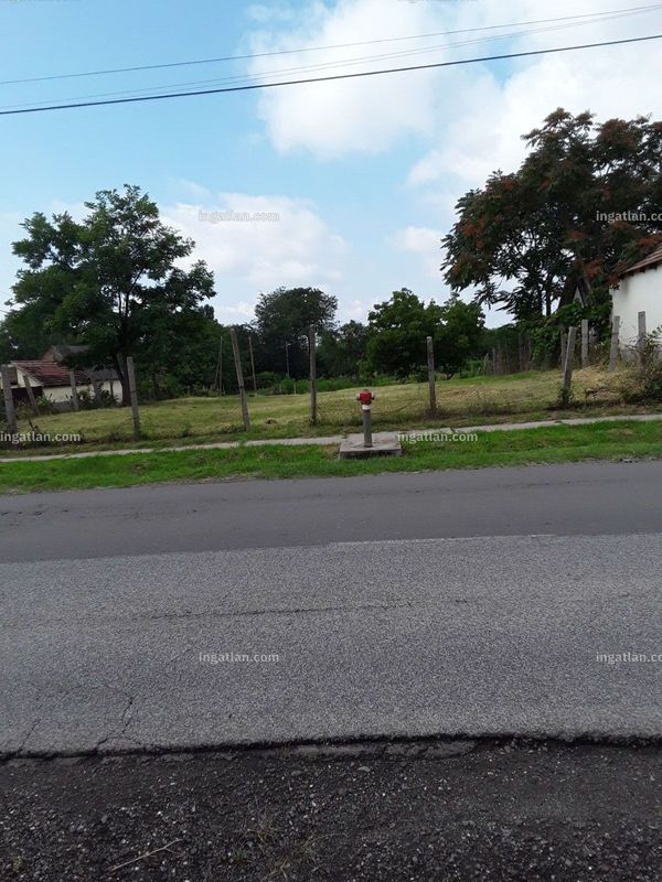 kilátás