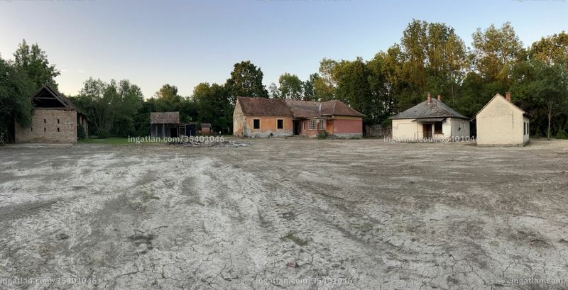 Foto auflisten
