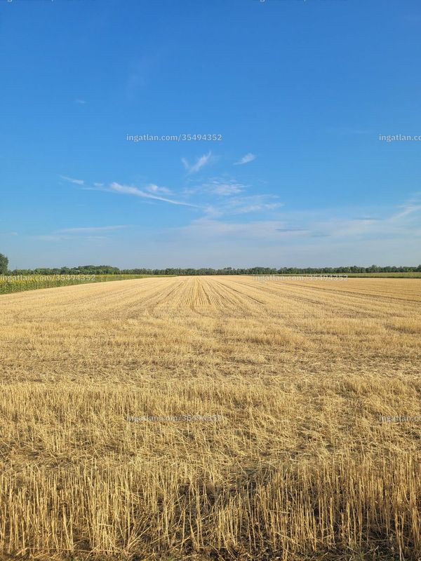 Foto auflisten