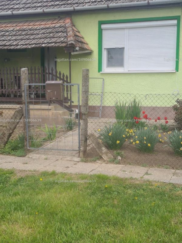 Foto auflisten