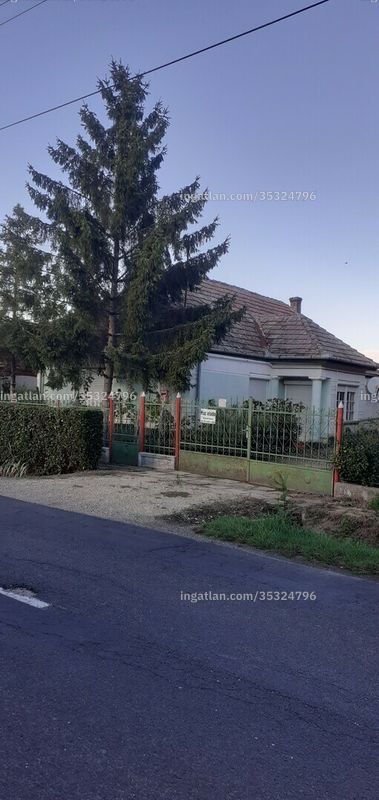 Foto auflisten