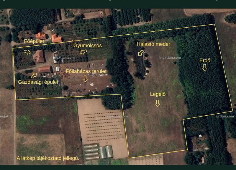 Picture of the real estate