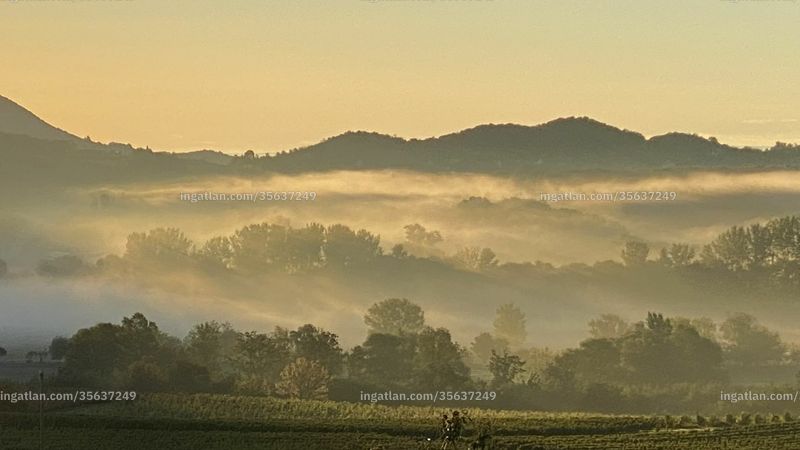 Hirdetés fotója