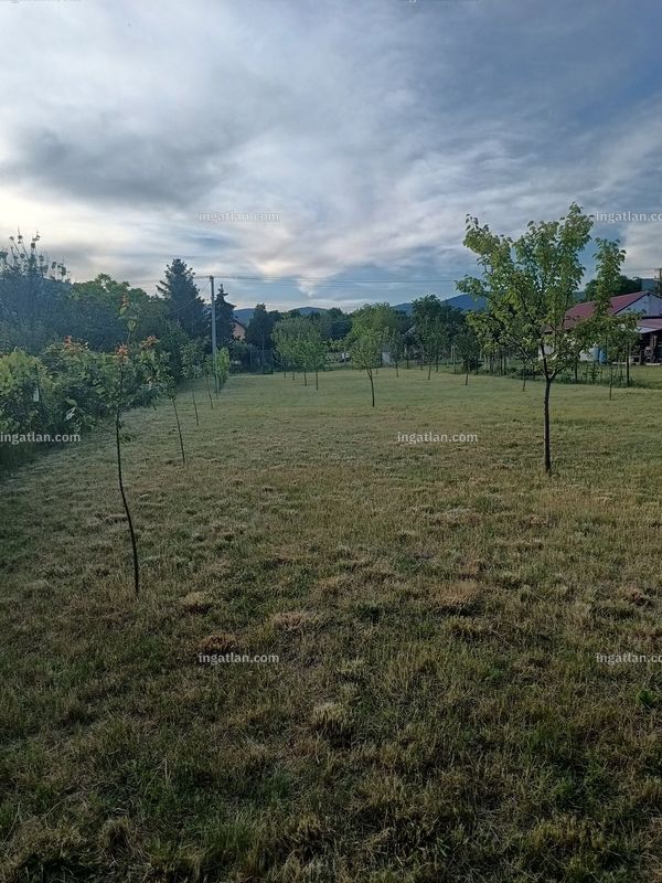Foto auflisten
