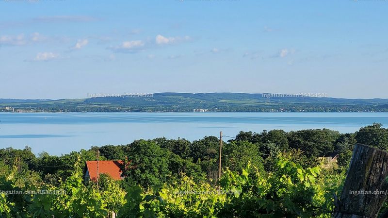 kilátás
