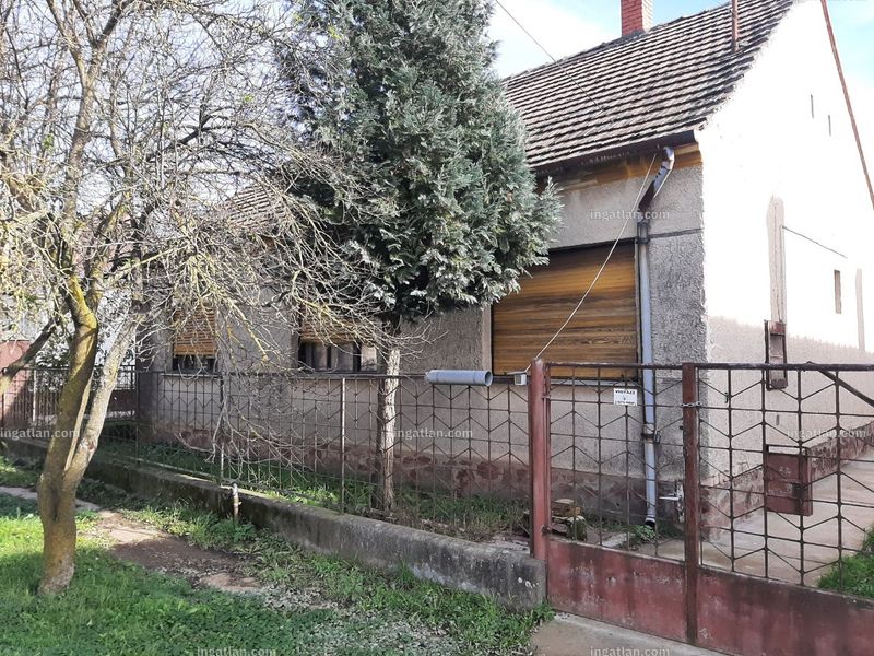 Hirdetés fotója