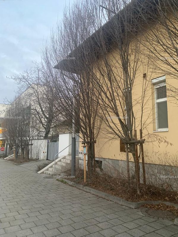Foto auflisten