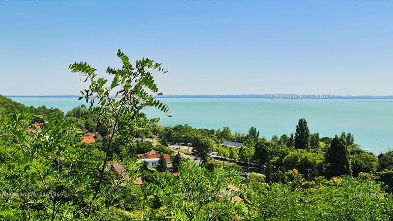 view