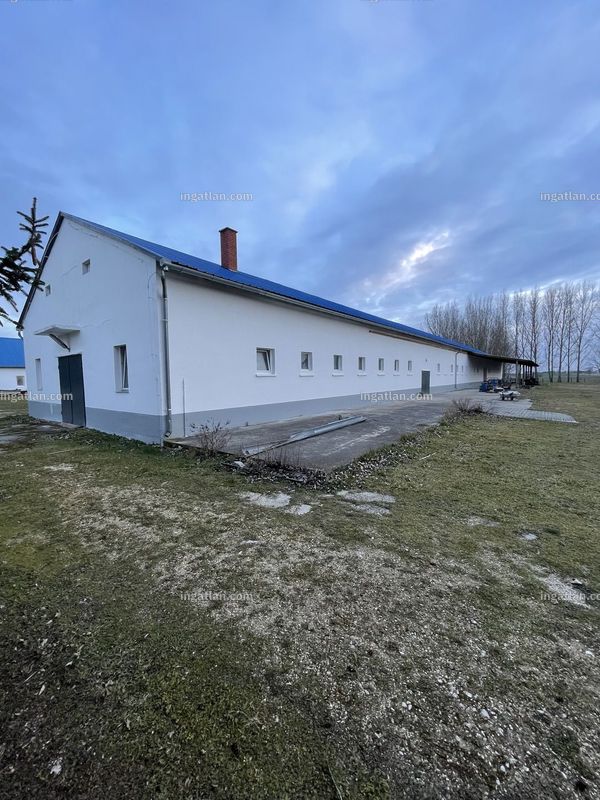 Foto auflisten
