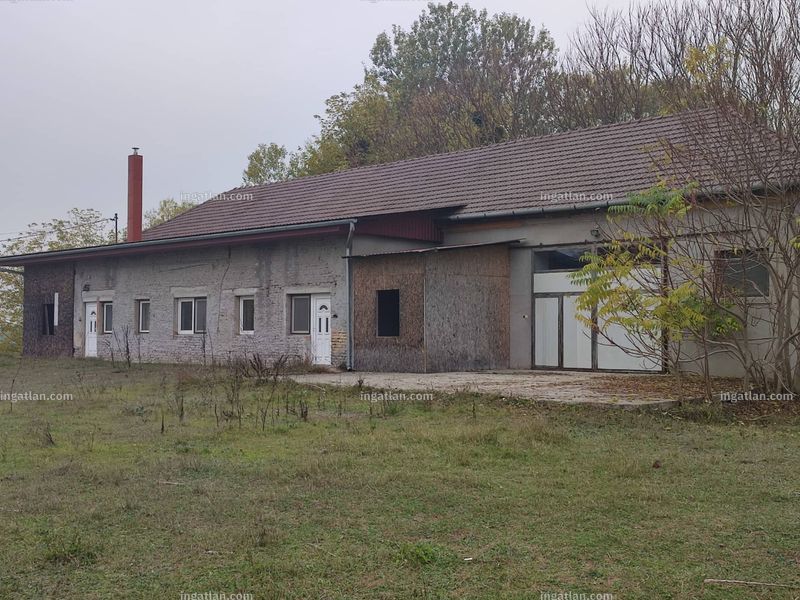 Foto auflisten