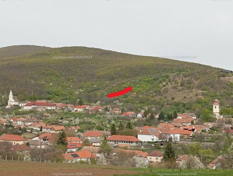 Foto auflisten