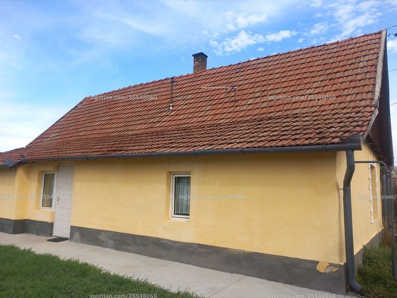 Foto auflisten