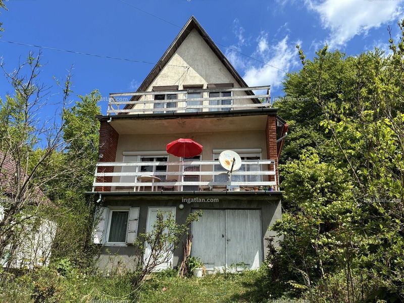 Hirdetés fotója