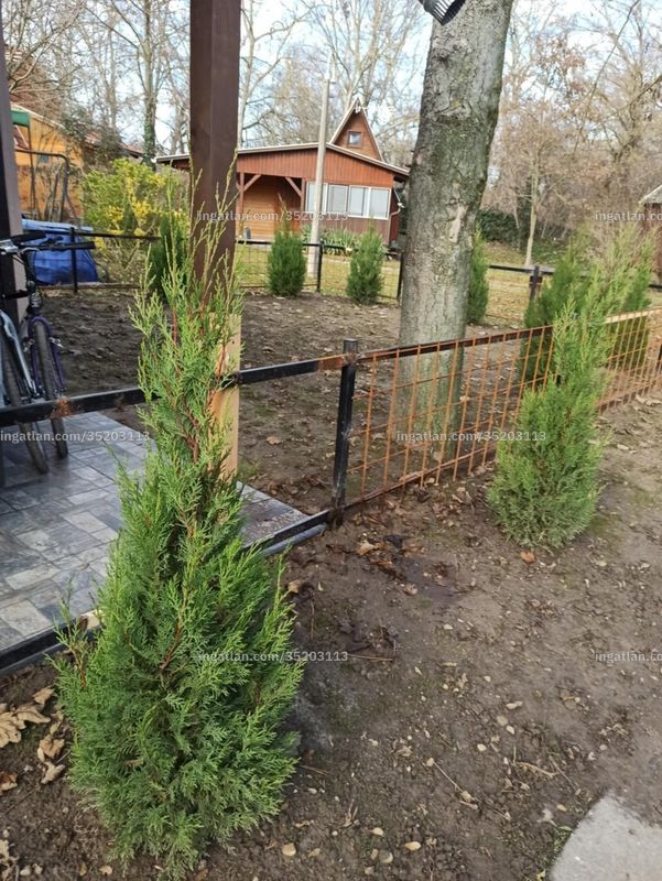 Kép az ingatlanról