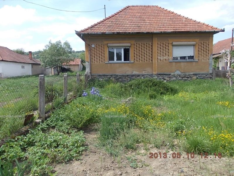 Ingatlan kép