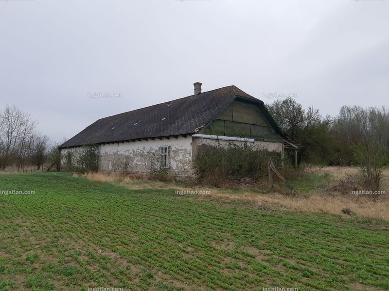 Foto auflisten