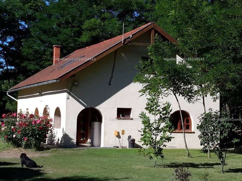 Ingatlan kép