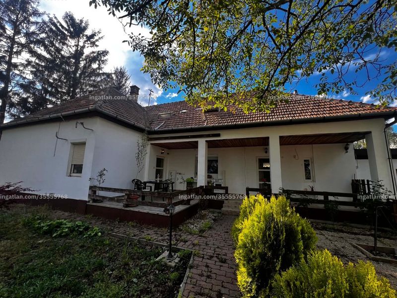 Ingatlan kép