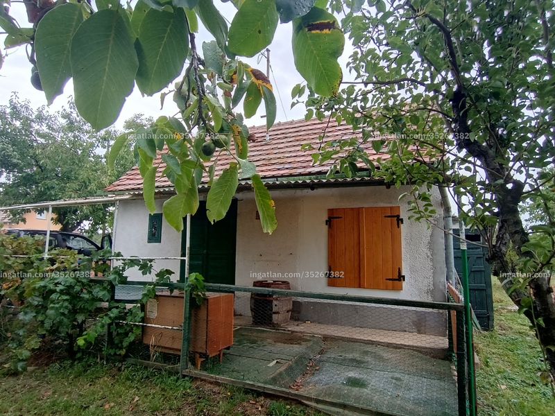 Ingatlan kép