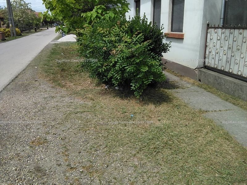 Ingatlan kép