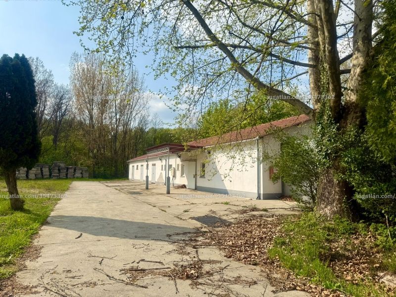 Ingatlan kép