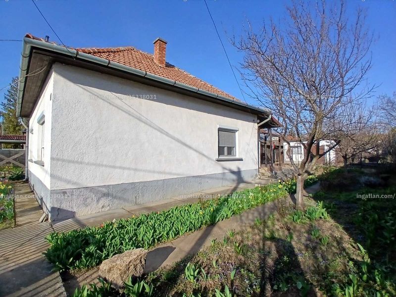 Ingatlan kép
