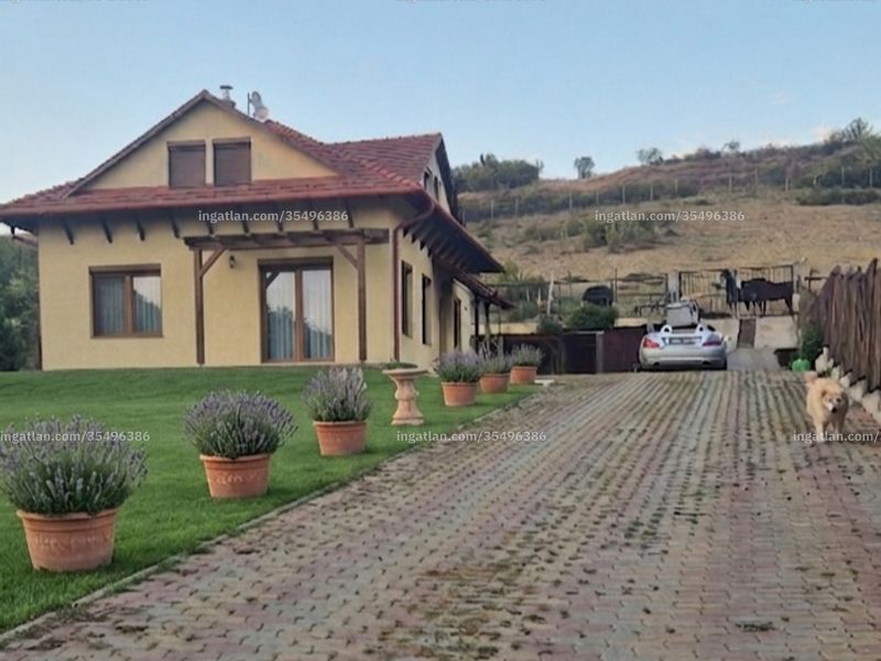 Ingatlan kép