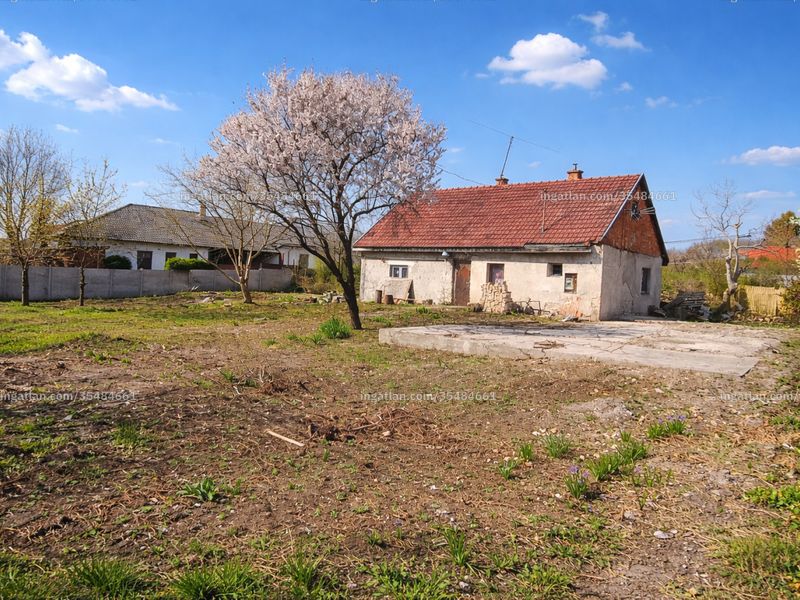 Ingatlan kép