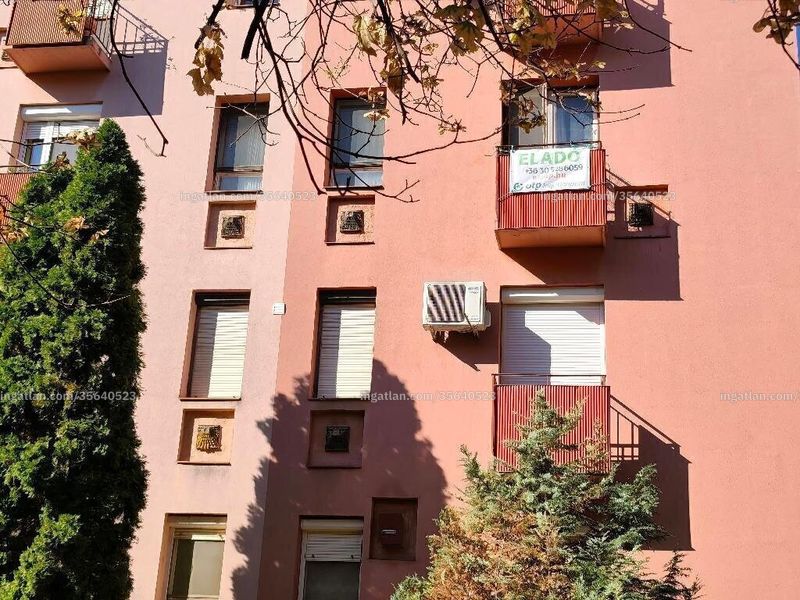 Ingatlan kép