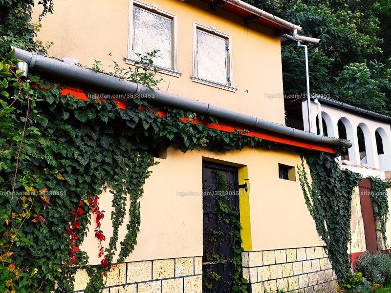 Ingatlan kép
